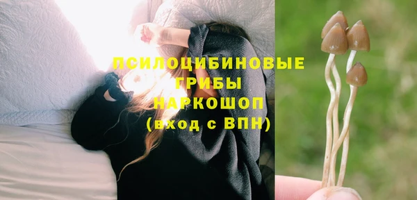ПСИЛОЦИБИНОВЫЕ ГРИБЫ Сатка
